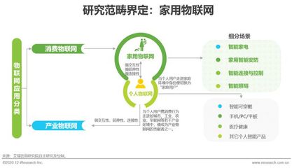 2020年中國(guó)家用物聯(lián)網(wǎng)行業(yè)研究報(bào)告 物聯(lián)網(wǎng)技術(shù)服務(wù)